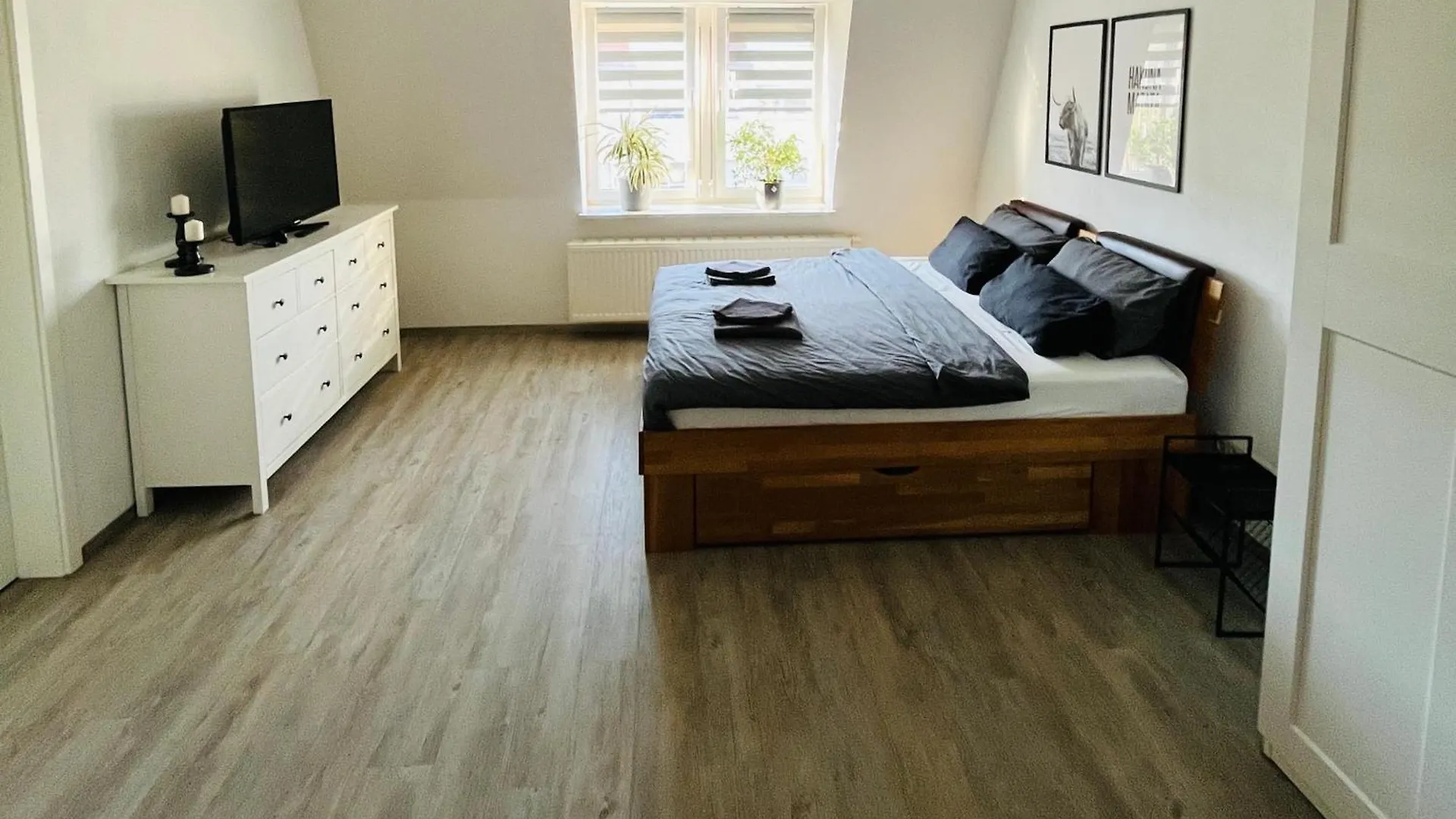 Modernes Cityapartment Naehe Schloss Pillnitz Dresden