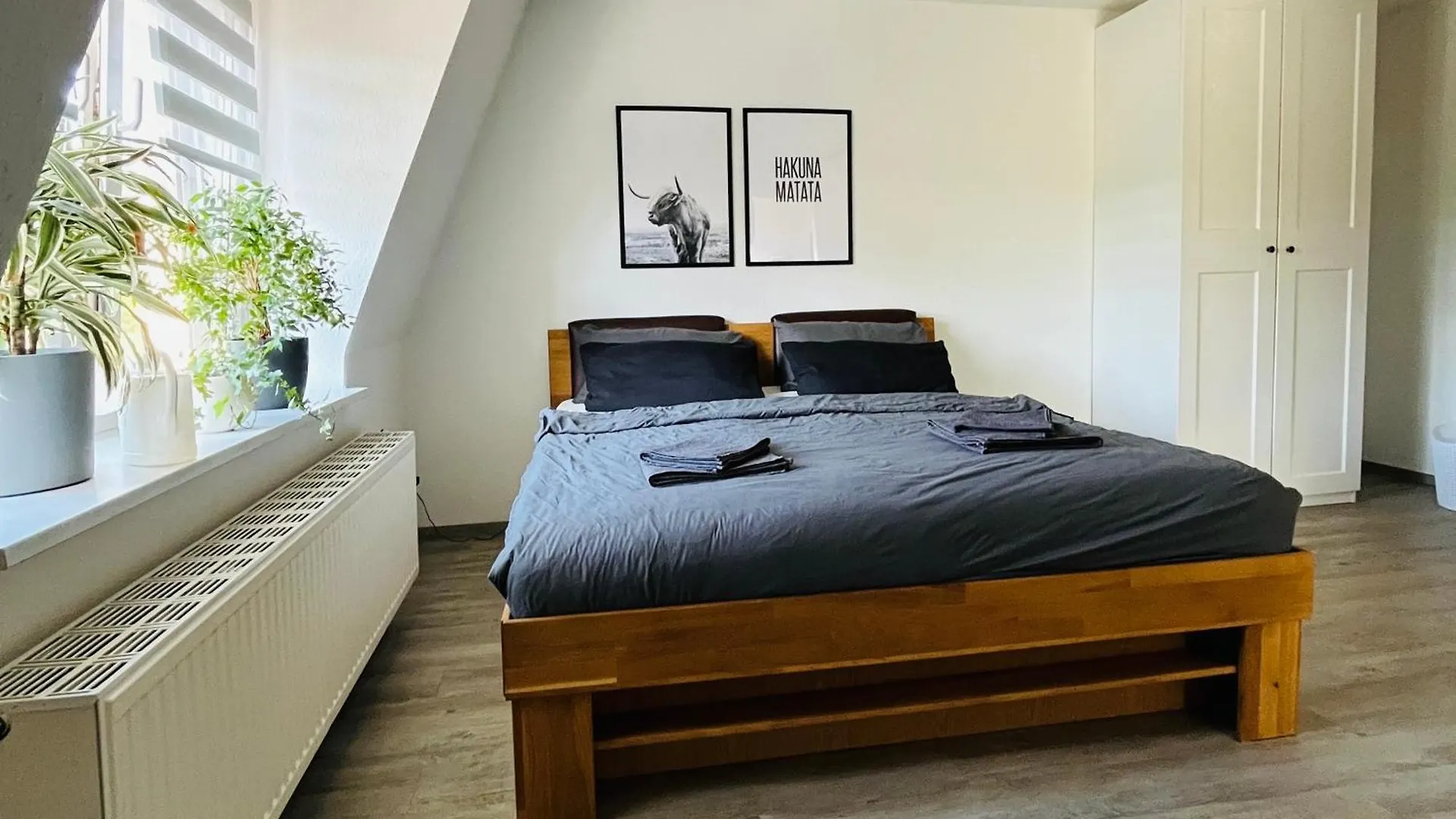 Apartment Modernes Cityapartment Naehe Schloss Pillnitz Dresden
